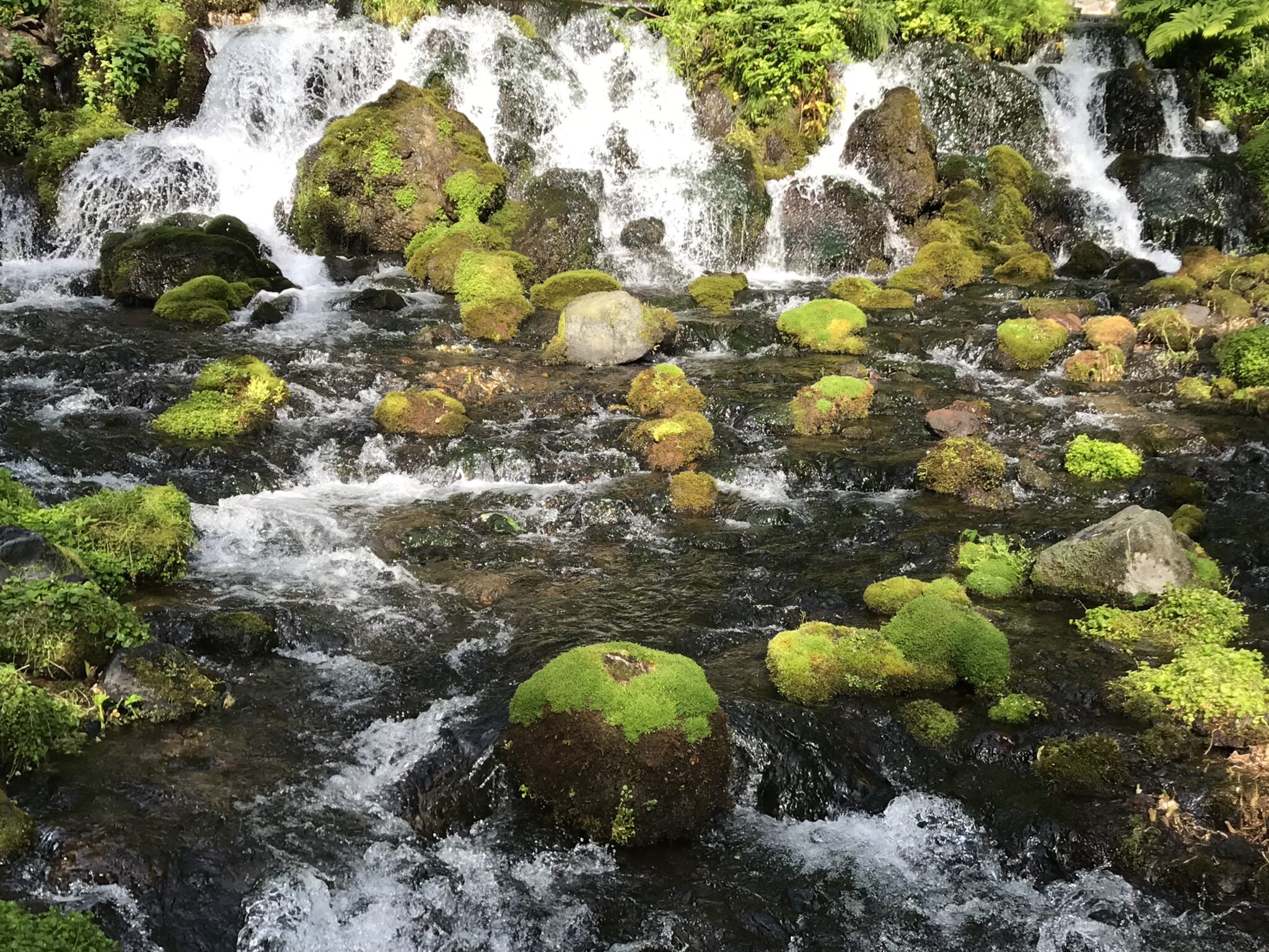 京極町の景観スポット 京極町観光協会